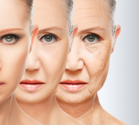 Scientists reverse Aging-associated skin wrinkles and hair loss in a mouse model